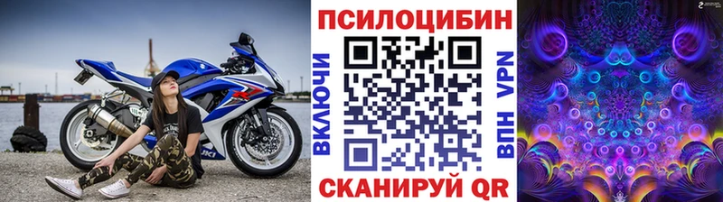 Псилоцибиновые грибы Cubensis  купить наркотик  KRAKEN зеркало  Искитим 
